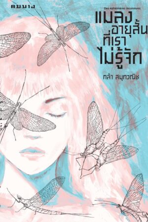 แมลงอายุสั้นที่เราไม่รู้จัก