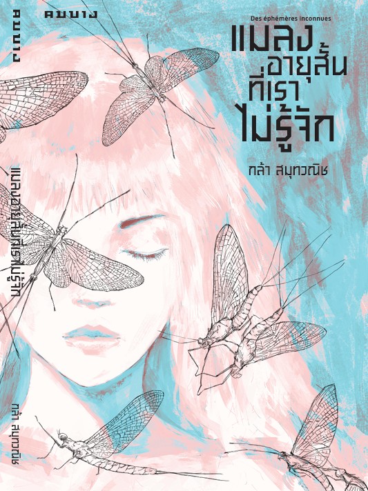 แมลงอายุสั้นที่เราไม่รู้จัก